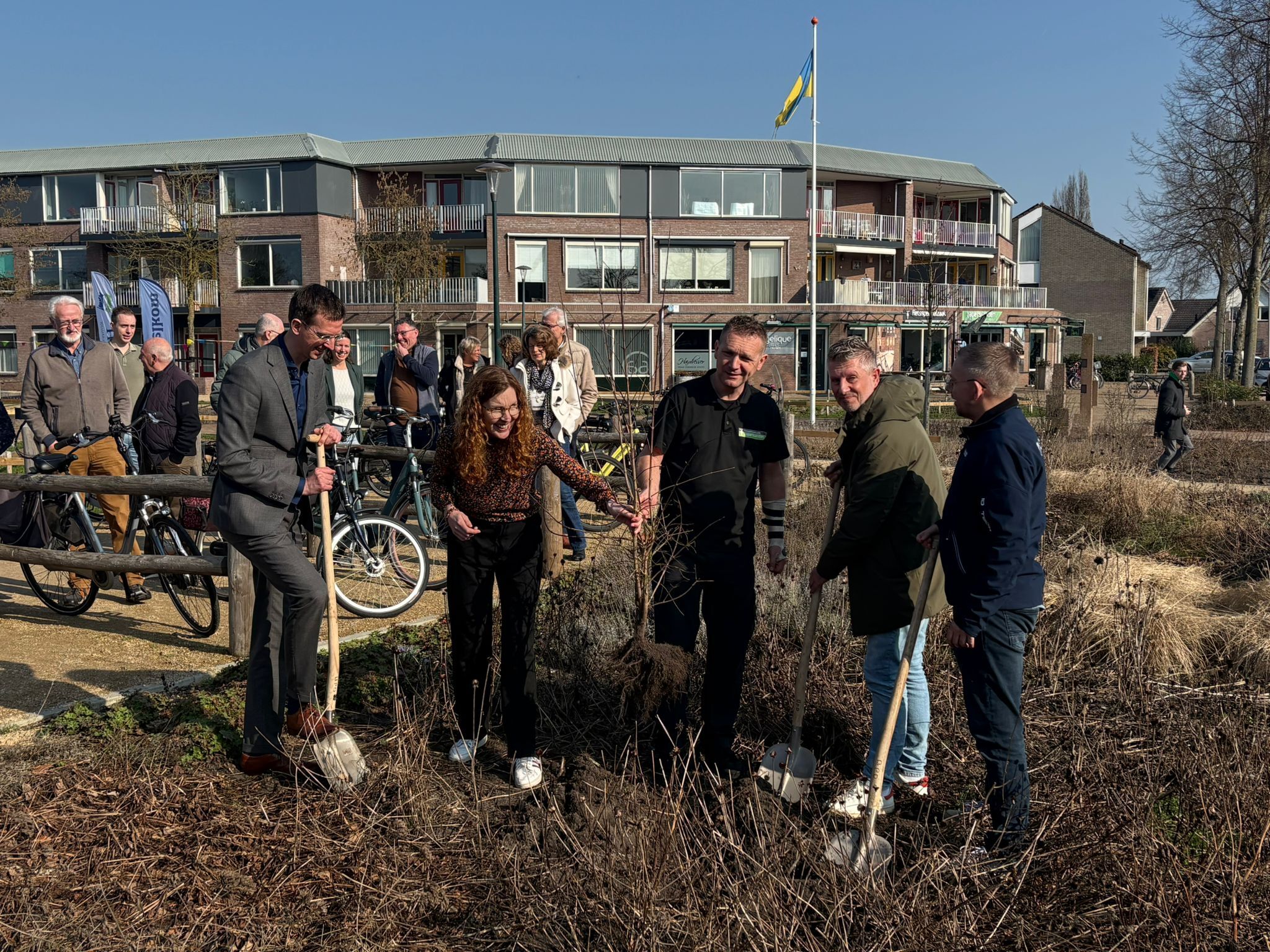 Plaatsen van de Gele Kornoelje